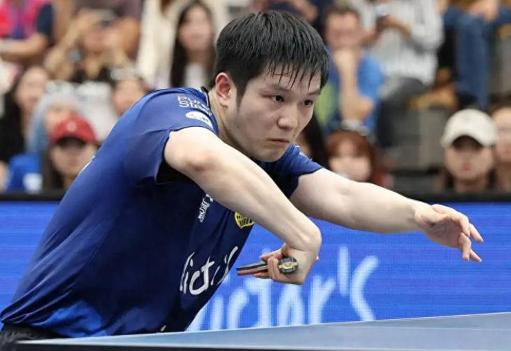 樊振东新年劲爆开局，德甲联赛连斩两场胜利保持不败